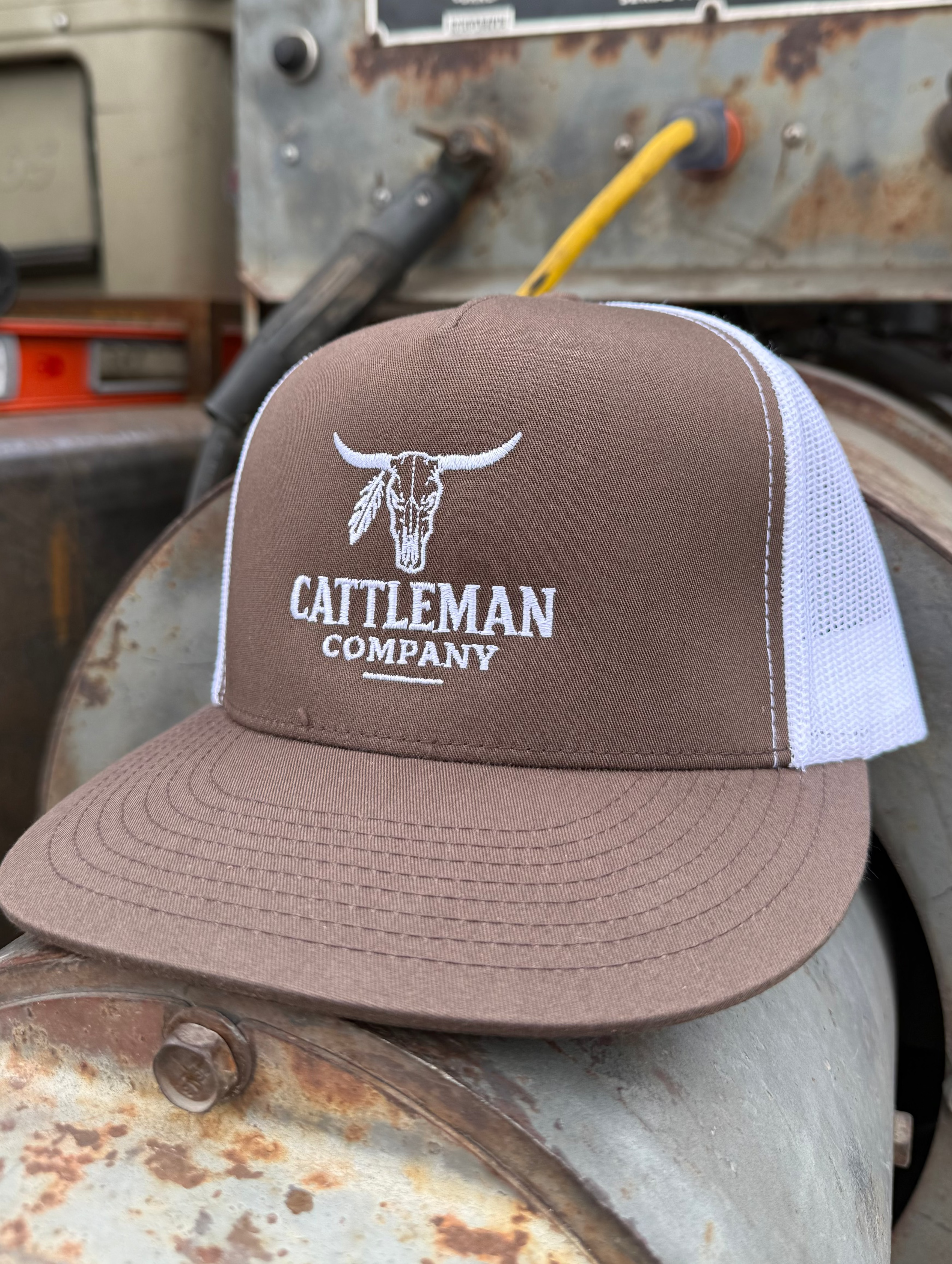 Cattleman Company Skull BWN
